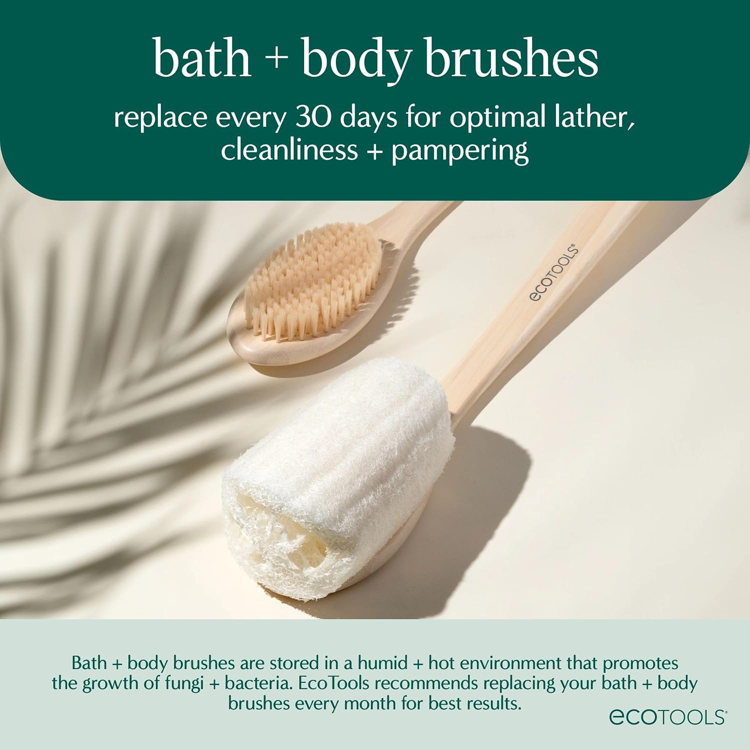 EcoTools_Dry_Body_Brush,_Cruelty-Free_Bristles_Exfoliate_&_Smooth_Skin,_Dry_Brushing_Removes_Flaky_Skin,_May_Help_Improve_Circulation_&_Tone,_Eco-Friendly_Skincare_Tool,_Vegan_&_Cruelty-Free,_1_Count