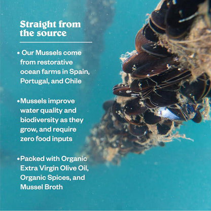 Patagonia_Provisions_-_Lemon_Herb_Mussels_in_Extra_Virgin_Olive_Oil_|_Responsibly_sourced_|_16g_Protein_&_Gluten_Free