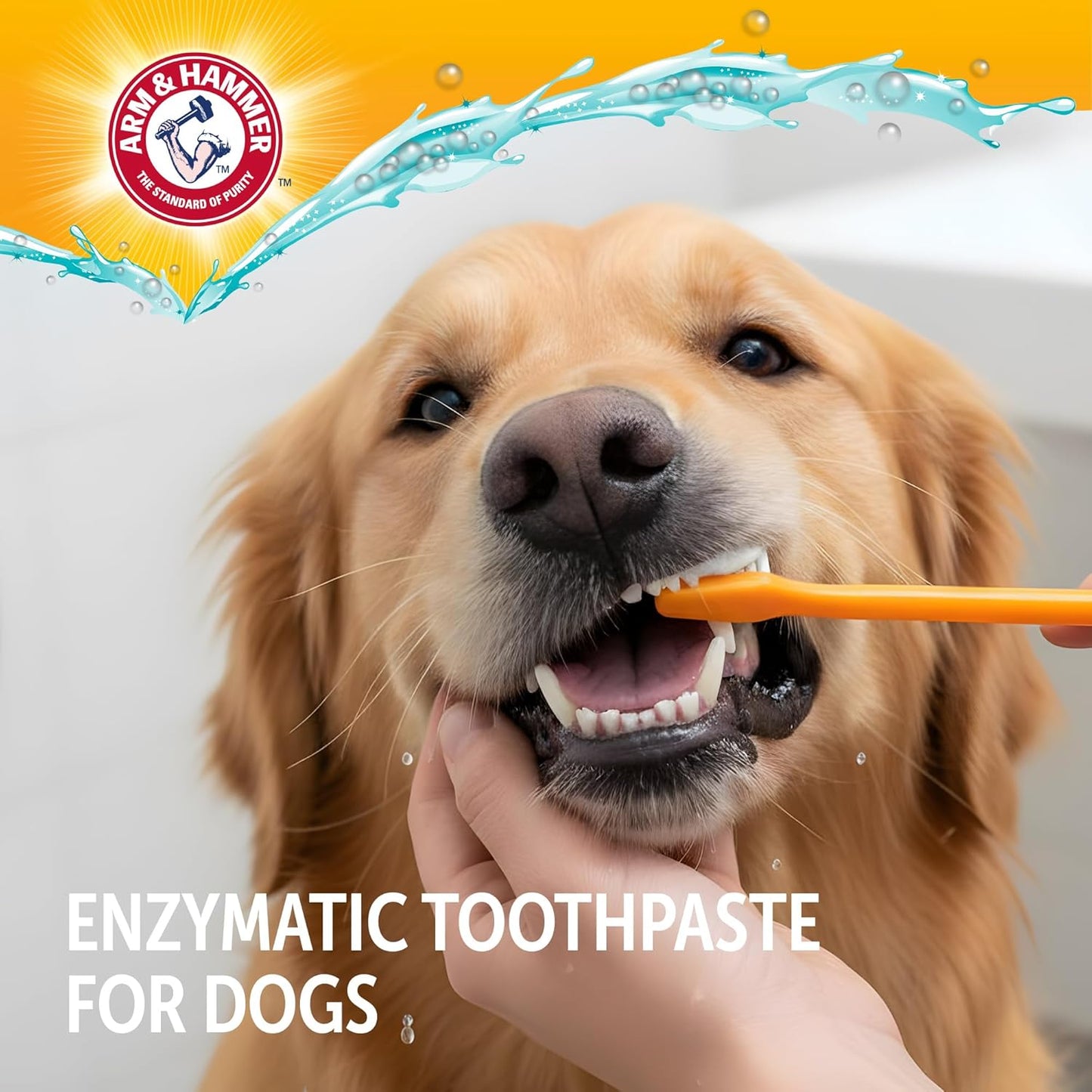 Arm_&_Hammer_Complete_Care_Enzymatic_Dog_Toothpaste_with_Baking_Soda_and_Calcium,_Fluoride-Free_Chicken_Flavor_for_Plaque,_Tartar,_and_Fresh_Breath,_6.2_Oz_Value_Size