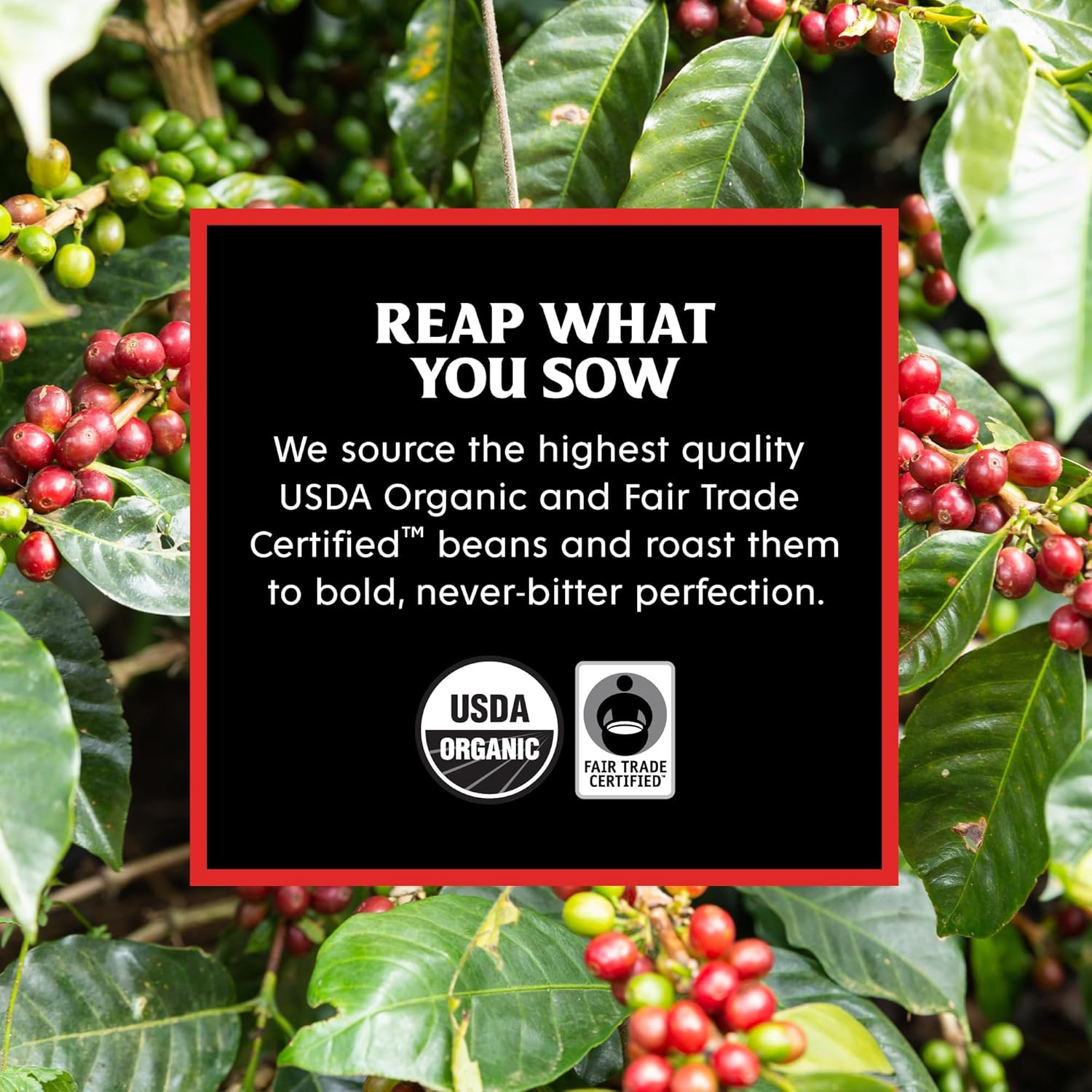 Death_Wish_Coffee_-_Dark_Roast_Single_Serve_Pods_-_(50_Count)