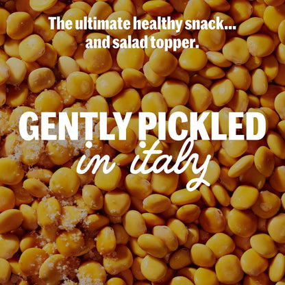 BRAMI_Lupini_Beans_Snack,_Sea_Salt_&_Vinegar,_7g_Plant_Based_Protein,_0g_Net_Carbs,_Vegan,_Vegetarian,_Keto,_Mediterranean_Diet,_Non_Perishable,_5.3oz