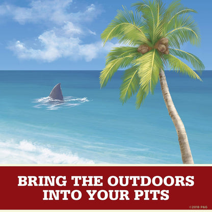 Old_Spice_Aluminum_Free_Deodorant_for_Men_Fiji_With_Palm_Tree_Scent_Inspired_By_Nature_3_Oz,_Pack_Of_3