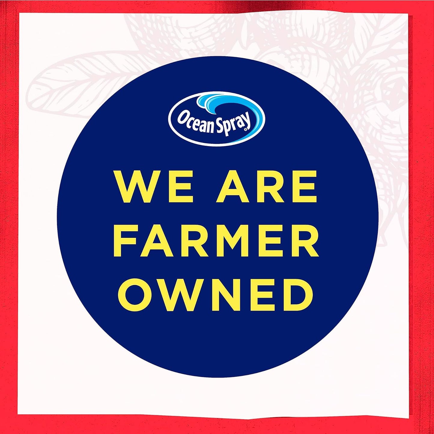 Ocean_Spray_Immunity_Cranberry_Blueberry_Acai_Flavored_Juice_Drinks,_10_Fl_Oz_Bottles,_6_Count_(Pack_of_1)