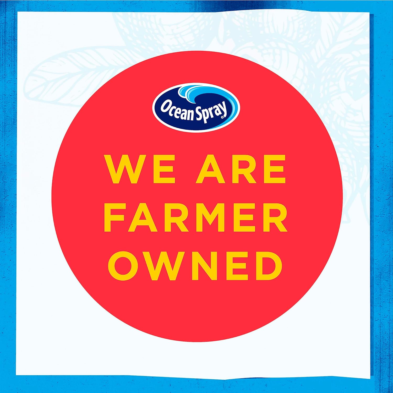 Ocean_Spray®_Hydration_Cranberry_Pineapple_Juice_Drinks,_10_Fl_Oz_Bottles,_6_Count_(Pack_of_1)