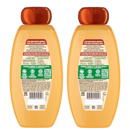Garnier_Whole_Blends_Honey_Treasures_Repairing_Shampoo,_for_Dry,_Damaged_Hair,_22_Fl_Oz,_2_Count_(Packaging_May_Vary)