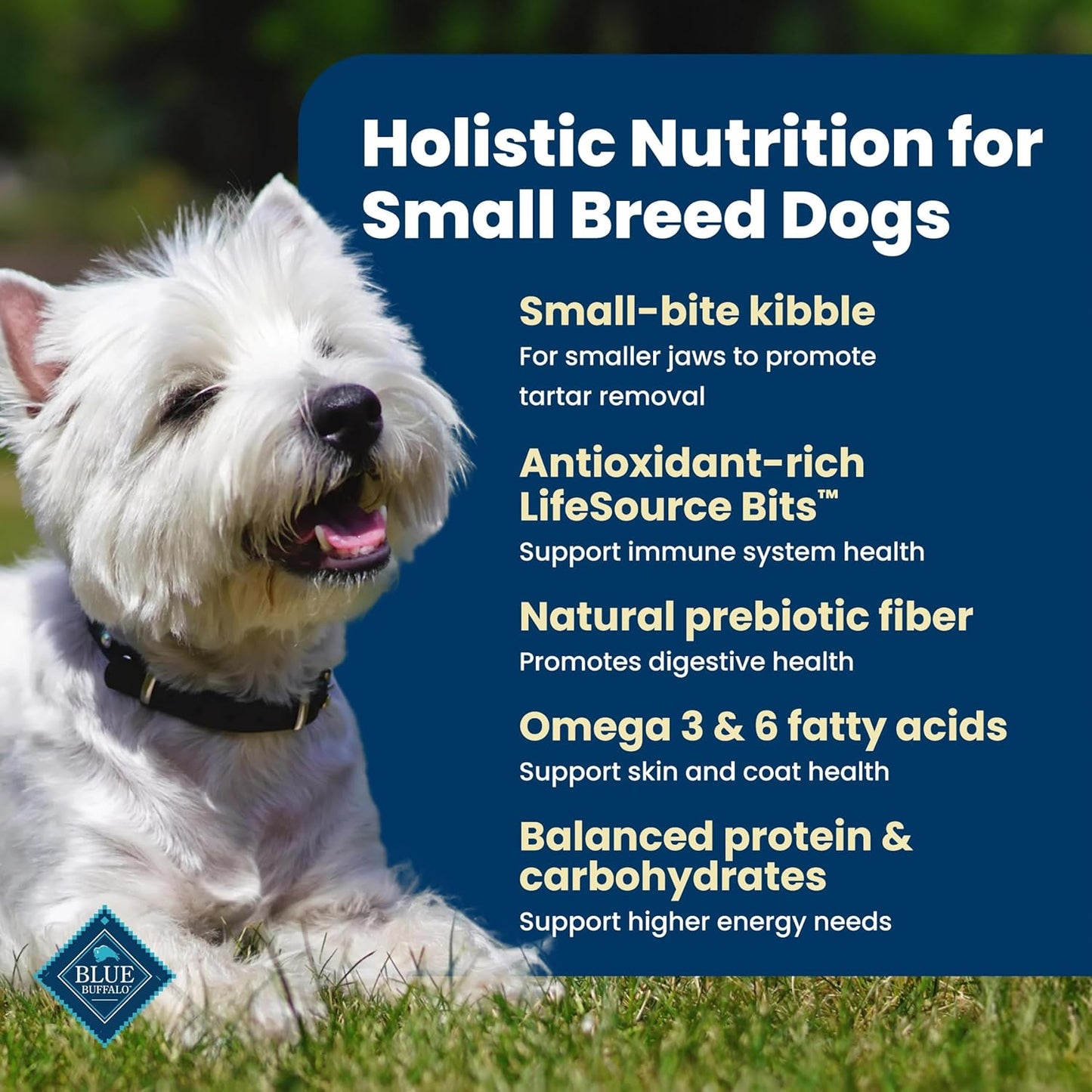 Blue_Buffalo_Life_Protection_Formula_Chicken_&_Brown_Rice_Small_Breed_Adult_Dry_Dog_Food,_Supports_Immunity_with_Antioxidant-Rich_LifeSource_Bits,_Promotes_Healthy_Muscles,_Skin_&_Coat_Health,_5_lbs.