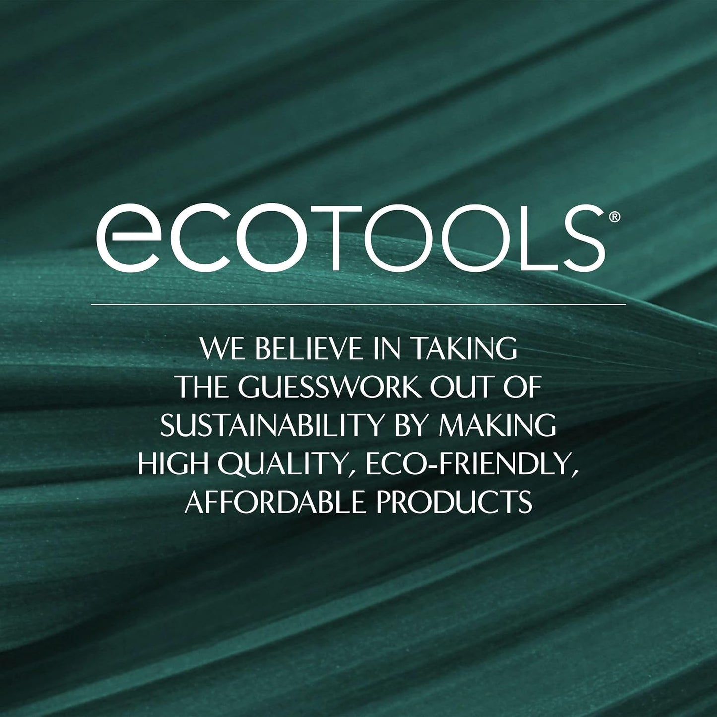 EcoTools_Dry_Body_Brush,_Cruelty-Free_Bristles_Exfoliate_&_Smooth_Skin,_Dry_Brushing_Removes_Flaky_Skin,_May_Help_Improve_Circulation_&_Tone,_Eco-Friendly_Skincare_Tool,_Vegan_&_Cruelty-Free,_1_Count