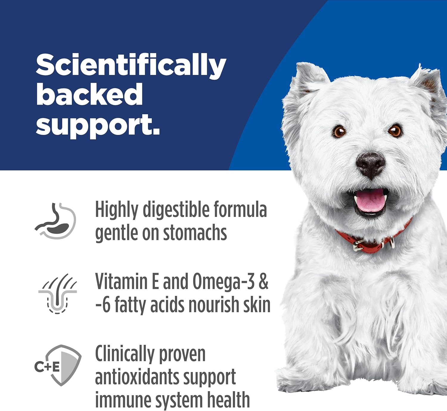 Hill's_Science_Diet_Adult_Sensitive_Stomach_&_Skin_Small_Bites_Dry_Dog_Food,_Chicken,_4_lb._Bag