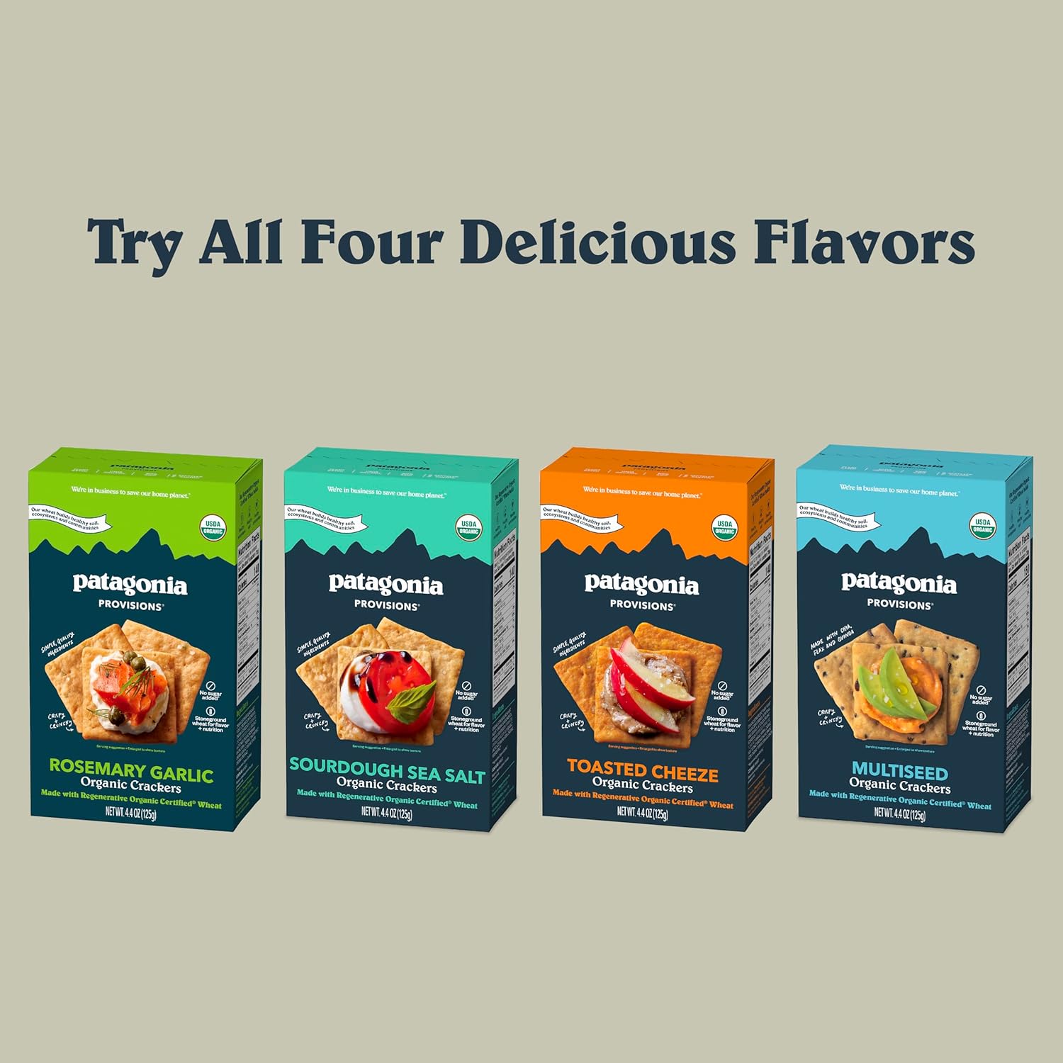 Patagonia_Provisions_Organic_Sourdough_Sea_Salt_Crackers_–_3g_Plant_Protein_Per_Serving_–_Made_with_Wheat_Flour_&_Sea_Salt_–_Non-GMO,_No_Added_Sugar_-_Crispy_&_Crunchy