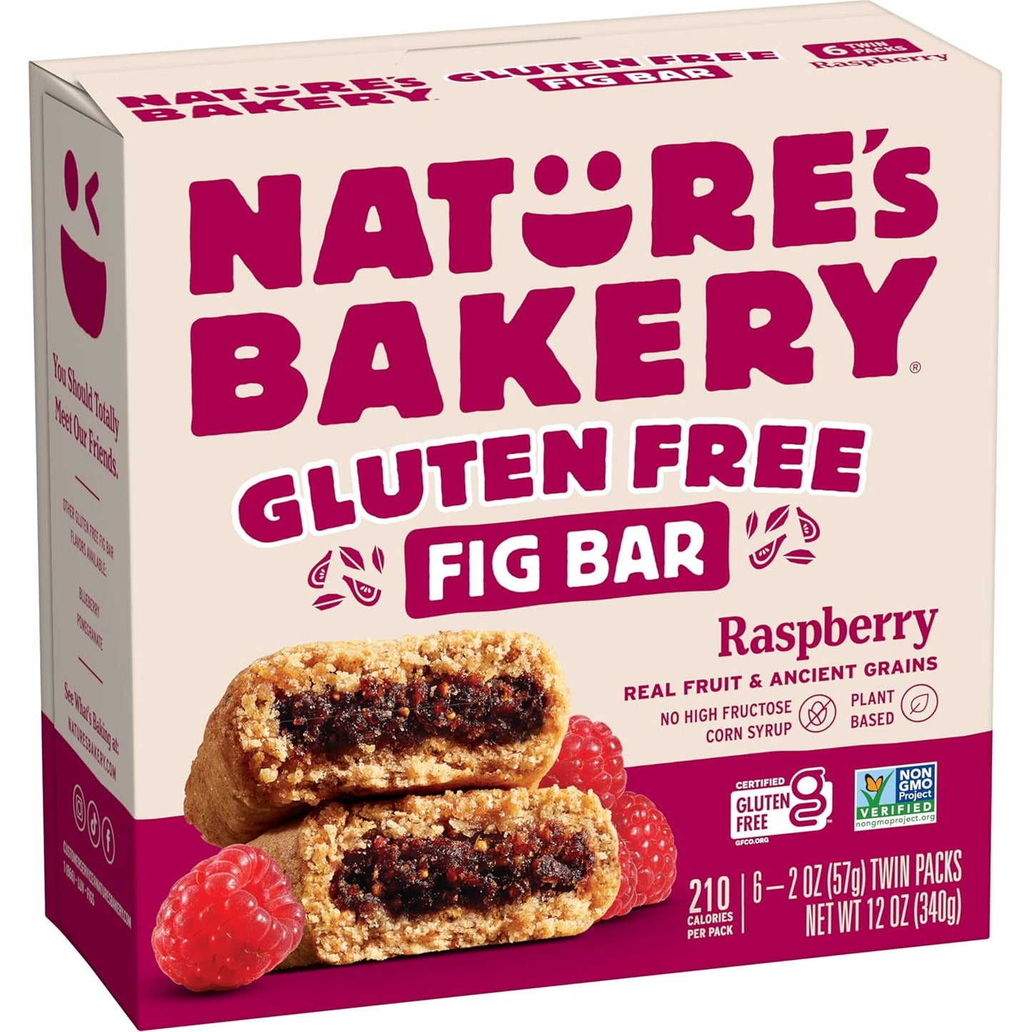 Nature's_Bakery_Raspberry_Fig_Bar,_6_Count,_2_Ounce