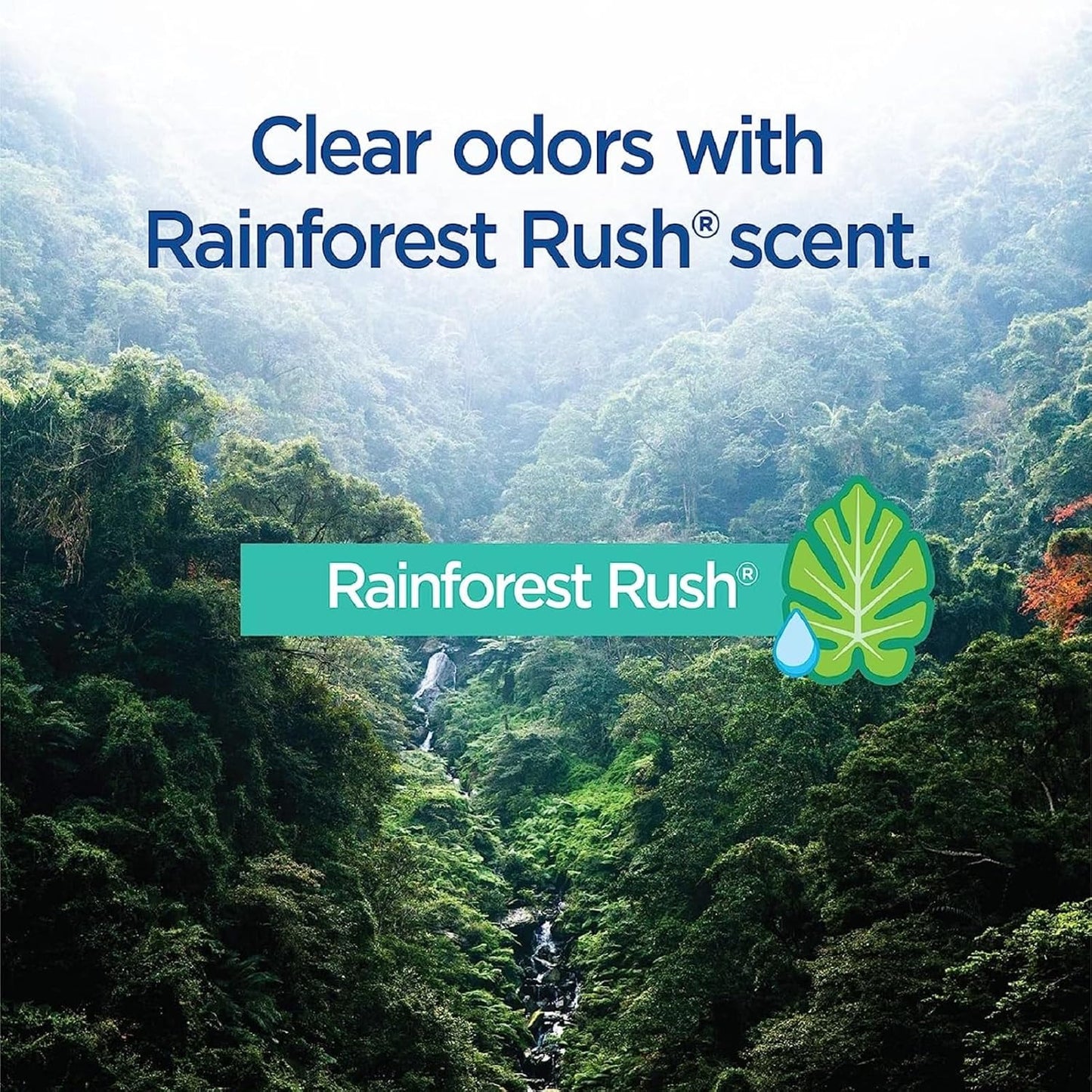 Clorox_ToiletWand_Toilet_Cleaning_Refills,_Spring_Cleaning_Essential,_Disinfecting_Scrubbing_Pads,_Rainforest_Rush,_30_Count