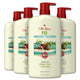 Fiji with Palm Tree - 25 Fl Oz (Pack of 4)