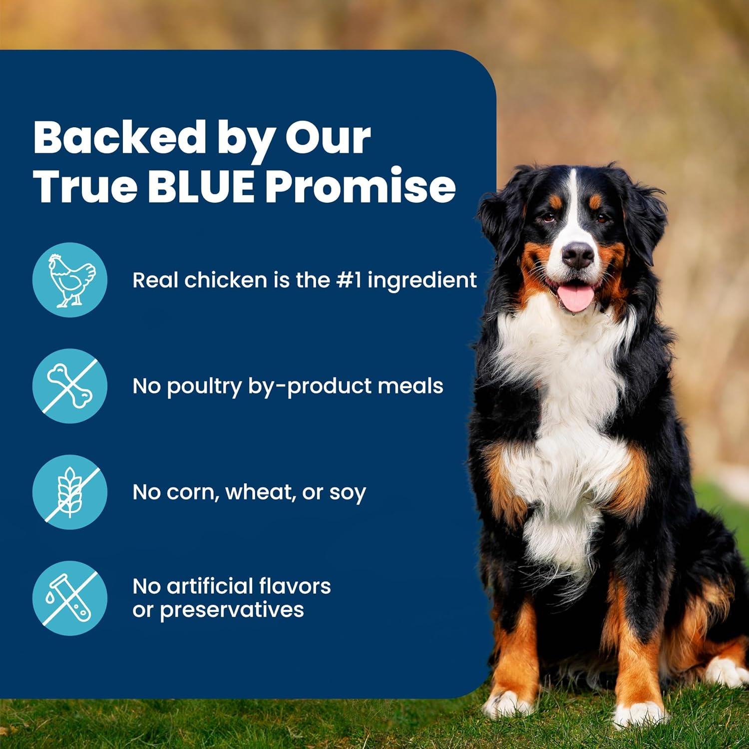 Blue_Buffalo_Life_Protection_Formula_Chicken_&_Brown_Rice_Adult_Dry_Dog_Food,_Supports_Immunity_with_Antioxidant-Rich_LifeSource_Bits,_Promotes_Healthy_Muscle_Development,_Skin_&_Coat_Health,_5_lbs.