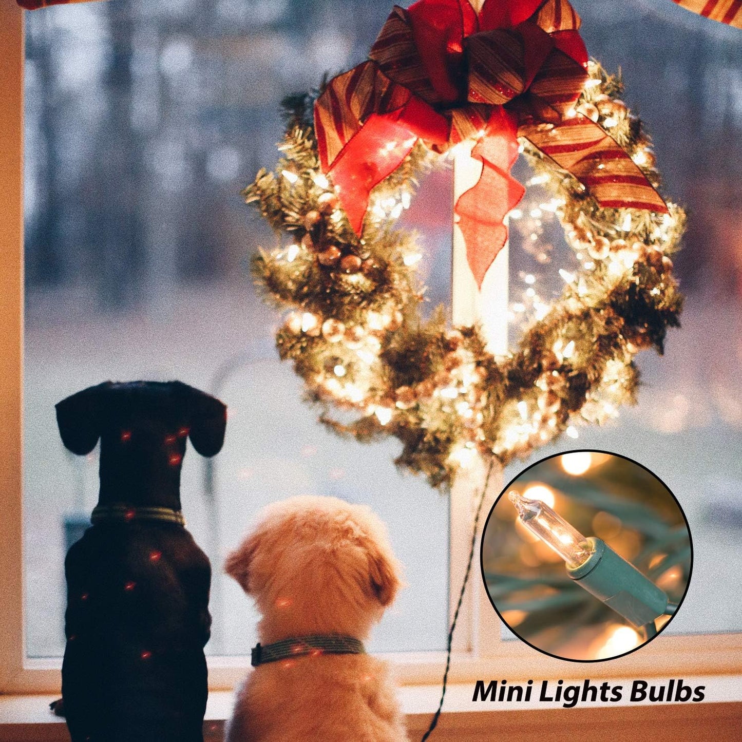 Minetom_Clear_Christmas_Lights_200_Count_50_Feet_Bulb_Mini_Lights,_Waterproof_String_Light_for_Indoor_Xmas_Tree_Garland_Birthday_Wedding_Decoration,_Green_Wire