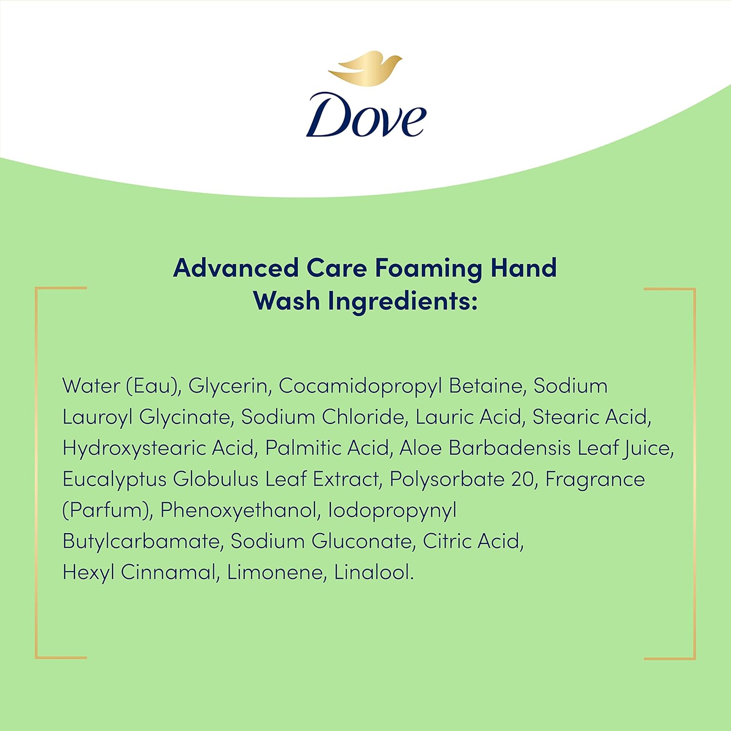 Dove_Foaming_Hand_Wash_4_Count_Aloe_&_Eucalyptus_Protects_Skin_from_Dryness,_More_Moisturizers_than_the_Leading_Ordinary_Hand_Soap,_10.1_oz