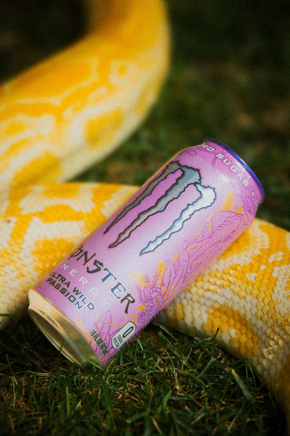 Monster_Energy_Ultra_Wild_Passion,_Sugar_Free_Energy_Drink,_16_Ounce_(Pack_of_15)