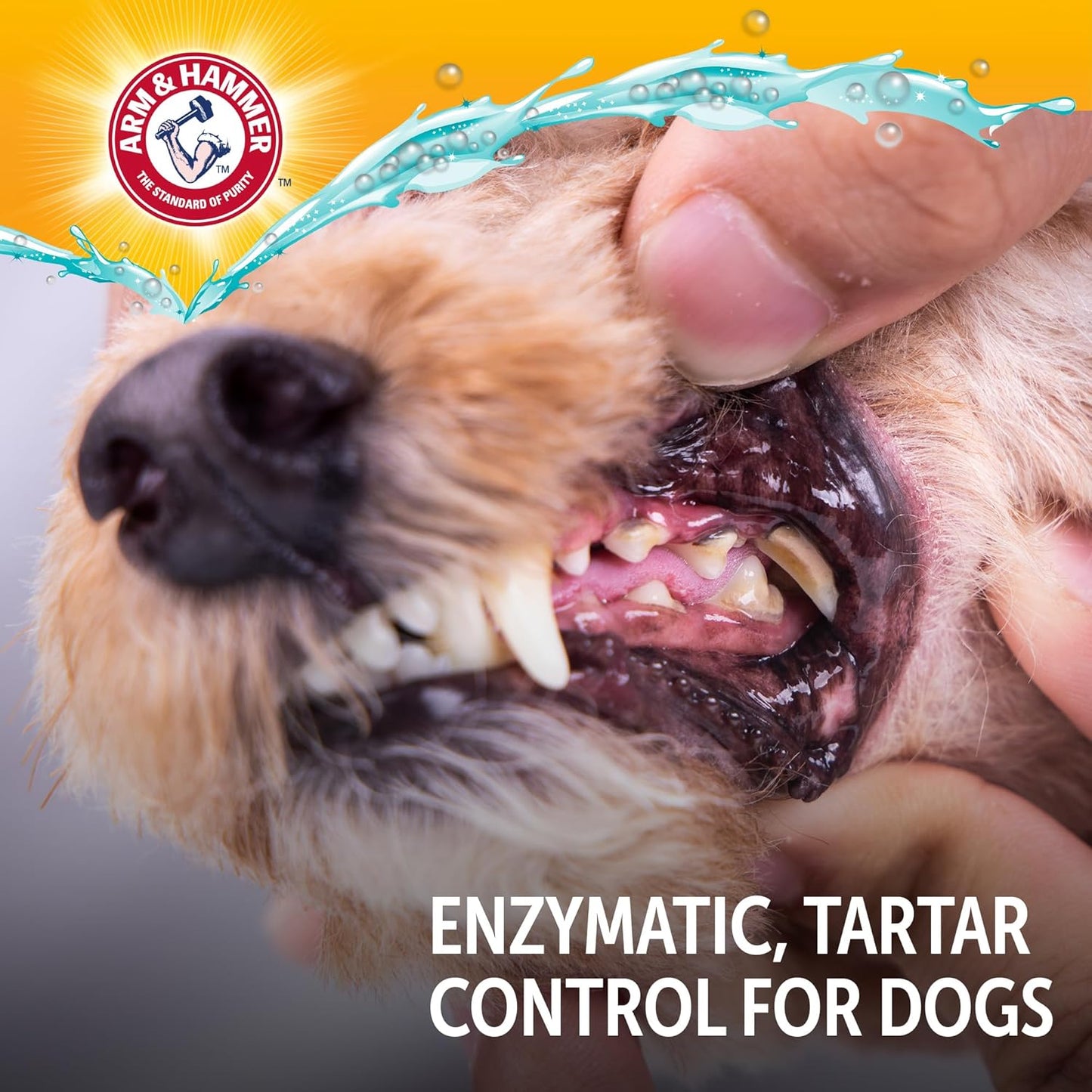 Arm_&_Hammer_Complete_Care_Enzymatic_Dog_Toothpaste_with_Baking_Soda_and_Calcium,_Fluoride-Free_Chicken_Flavor_for_Plaque,_Tartar,_and_Fresh_Breath,_6.2_Oz_Value_Size