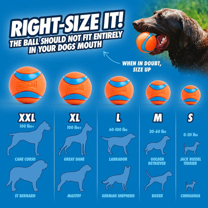 Chuckit!_Ultra_Ball_Dog_Toy_-_Medium_Bouncy_Fetch_Balls_For_Dogs_20-60_lbs_-_Made_from_Durable_Rubber_-_Floating_Water_Pet_Toys_-_Size_Medium_-_2.5-inch_Diameter_-_Pack_of_4