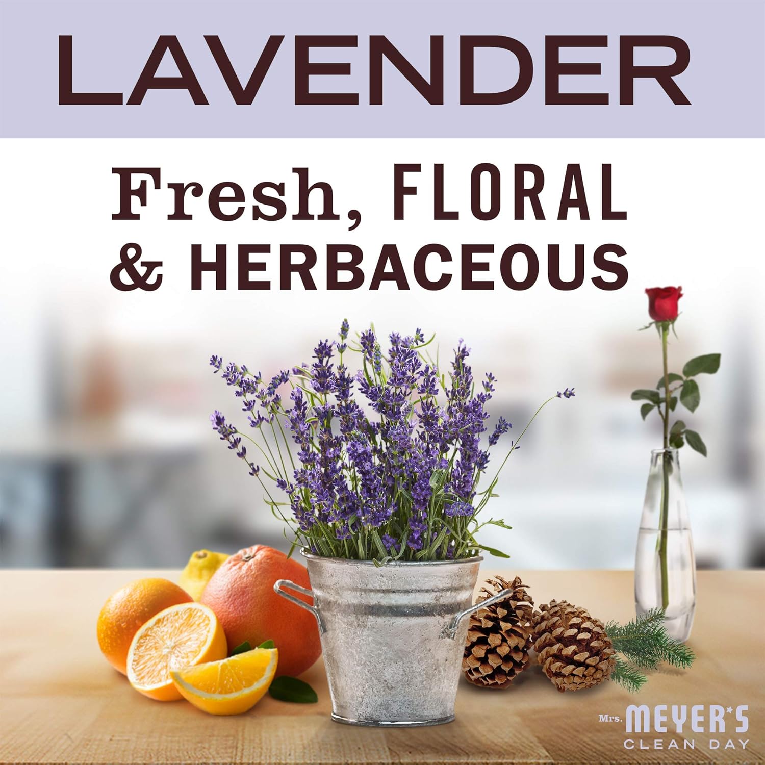MRS._MEYER'S_CLEAN_DAY_Tub_and_Tile_Cleaner,_Lavender,_33_Fluid_Ounce