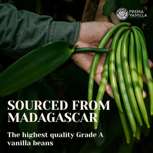 PREMA_VANILLA_Madagascar_Vanilla_Beans,_Grade_A_Bourbon_Pods_For_Making_Vanilla_Extract,_Good_For_Cooking_And_Baking,_Rich_and_Intense_Aroma,_Pack_of_10_Beans_Plus_1_Gift_Bean