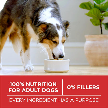 Purina_ONE_Chicken_and_Rice_Formula_Dry_Dog_Food_-_16.5_lb._Bag