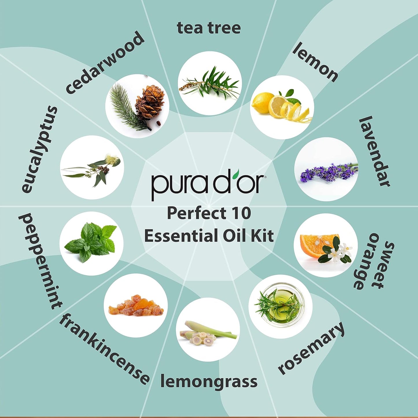PURA_D'OR_Organic_Perfect10_Essential_Oils_Set_-_10x_10mL_Wood_Box_Aromatherapy_Gift_Set_-_100%_Pure_Therapeutic_Grade_for_Relaxation_and_Wellness_(Lavender,_Peppermint,_Eucalyptus,_Tea_Tree_&_More)