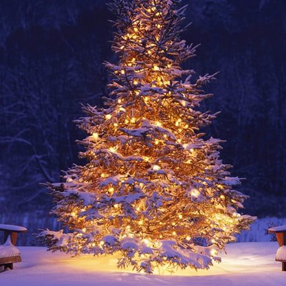 FUNPENY_Battery_Operated_Christmas_Mini_String_Lights,_1/2/4_Pack_Total_100LED_32FT_8_Modes_Waterproof_Fairy_Lights,_Christmas_Decorations_for_Indoor_Outdoor_Garden_Party_Decor