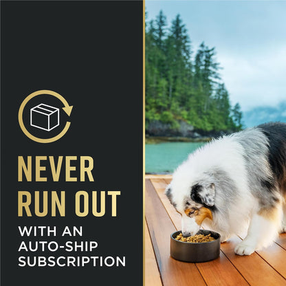 Purina_Pro_Plan_Sensitive_Skin_and_Stomach_Dog_Food_Dry,_Adult_Salmon_&_Rice_Formula,_Digestive_Health_-_16_lb._Bag