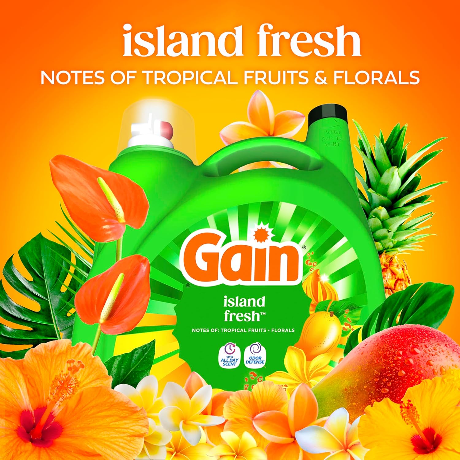 Gain_Liquid_Laundry_Detergent_with_Odor_Defense,_Island_Fresh_Scent,_Laundry_Soap_For_HE_Washing_Machines,_154_fl_oz,_107_Loads_(Packaging_May_Vary)