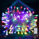 Multicolor - 100FT 300LED