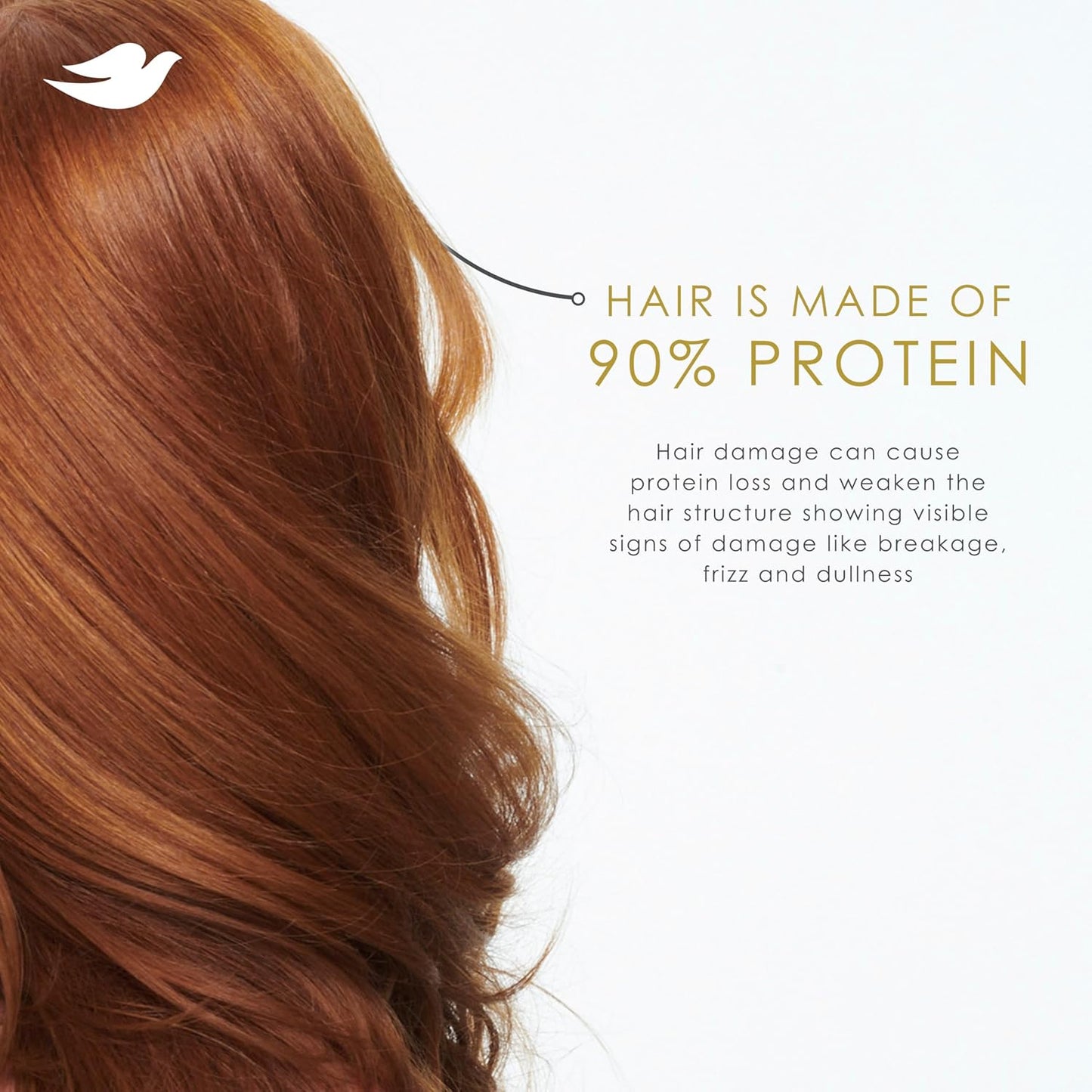 Dove_Shampoo_Intensive_Repair_for_Damaged_Hair_with_Bio-Protein_Care_Technology_and_Amino_Serum_28_Fl_Oz