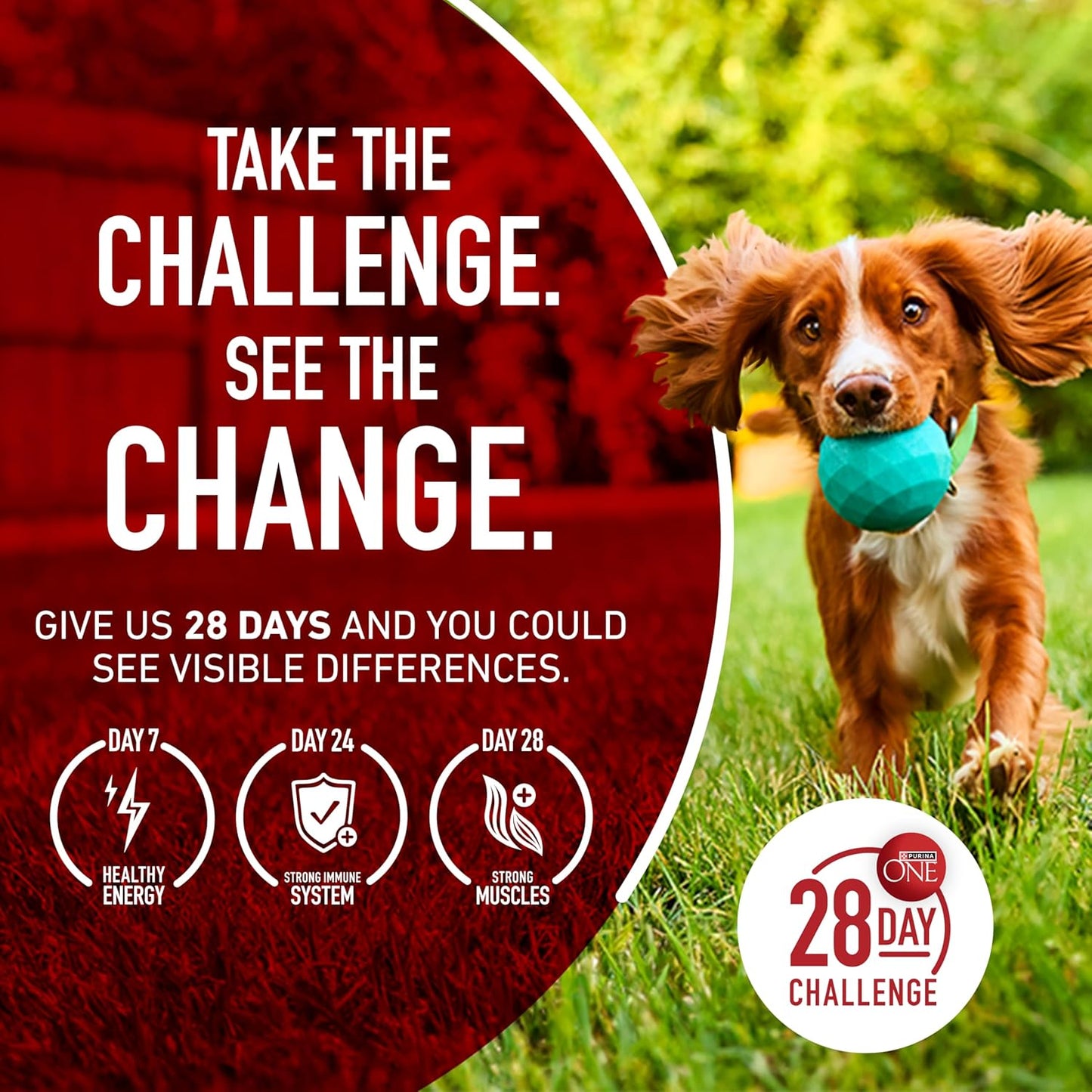 Purina_ONE_Dry_Dog_Food_Lamb_and_Rice_Formula_-_31.1_lb._Bag