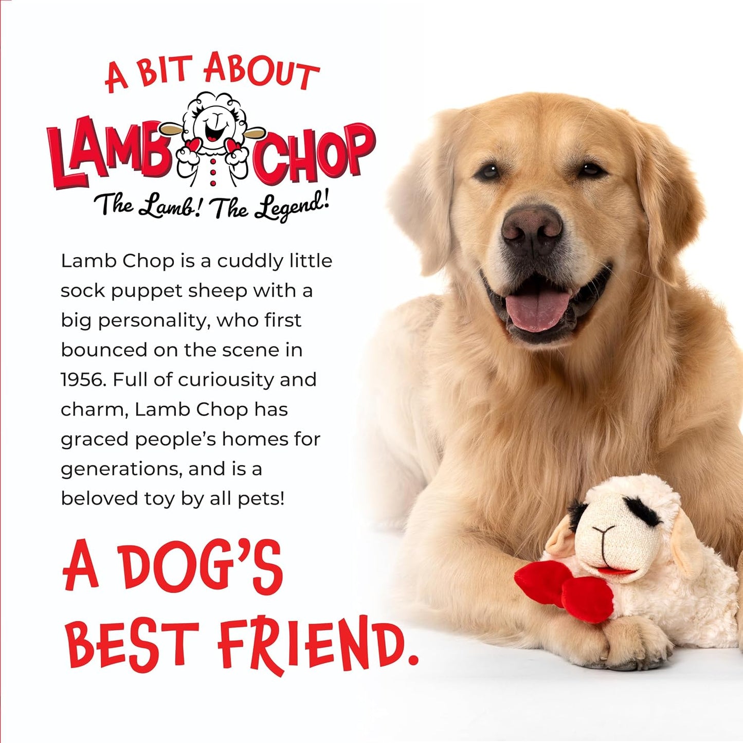 Multipet_Lamb_Chop_Dog_Plush_Toy_-_Squeaky_Toy_for_All_Dogs_-_Extra_Soft_Plush_-_Stuffed_Animal_Dog_Toy_for_Cuddling_&_Playing_-_Cute_Pet_Toy_(6",_Cream)