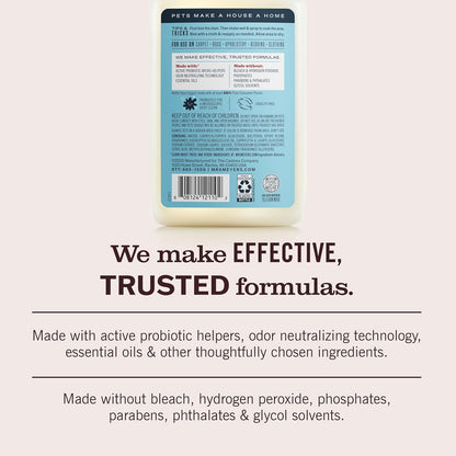 Mrs._MEYER'S_CLEAN_DAY_Pet_Stain_&_Odor_Fighter,_Coconut_Leaf_Scent,_16oz