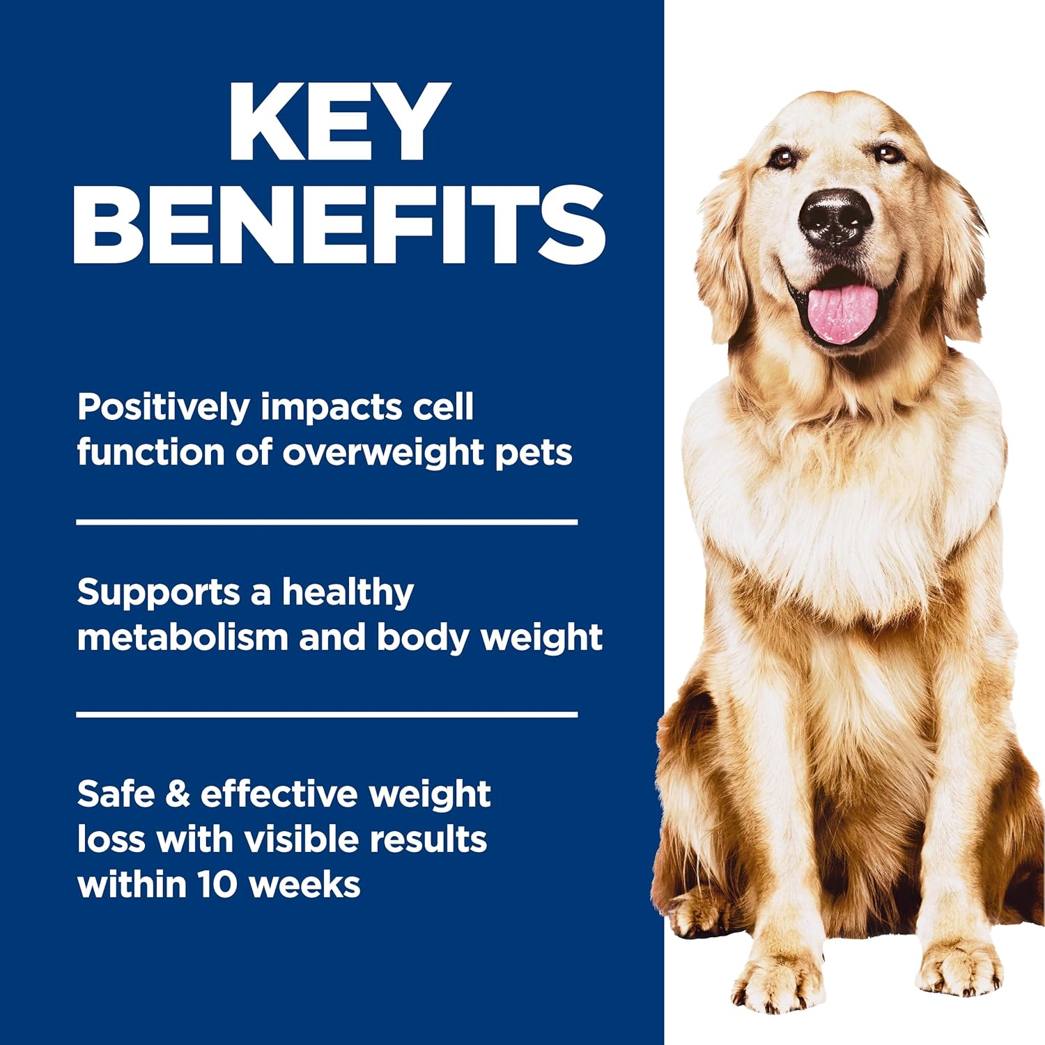 Hill's_Science_Diet_Adult_Perfect_Weight_Dry_Dog_Food,_Chicken_&_Brown_Rice,_25_lb._Bag