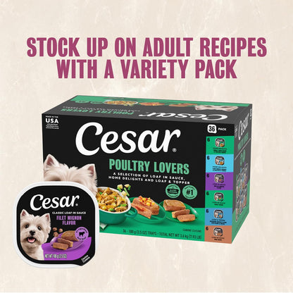 Cesar_Adult_Wet_Dog_Food_Steak_Lovers_Variety_Pack_with_Real_Meat,_3.5_oz._Easy_Peel_Trays,_36_Count_(Pack_of_1)