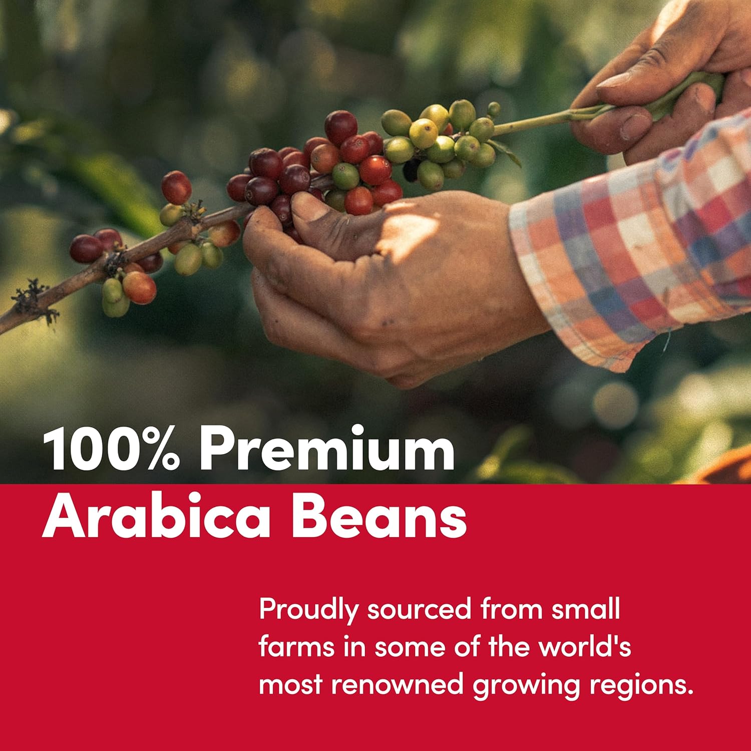 Tim_Hortons_Whole_Bean_Original,_Medium_Roast_Coffee,_Made_with_100%_Arabica_Beans,_12_Ounce_Bag