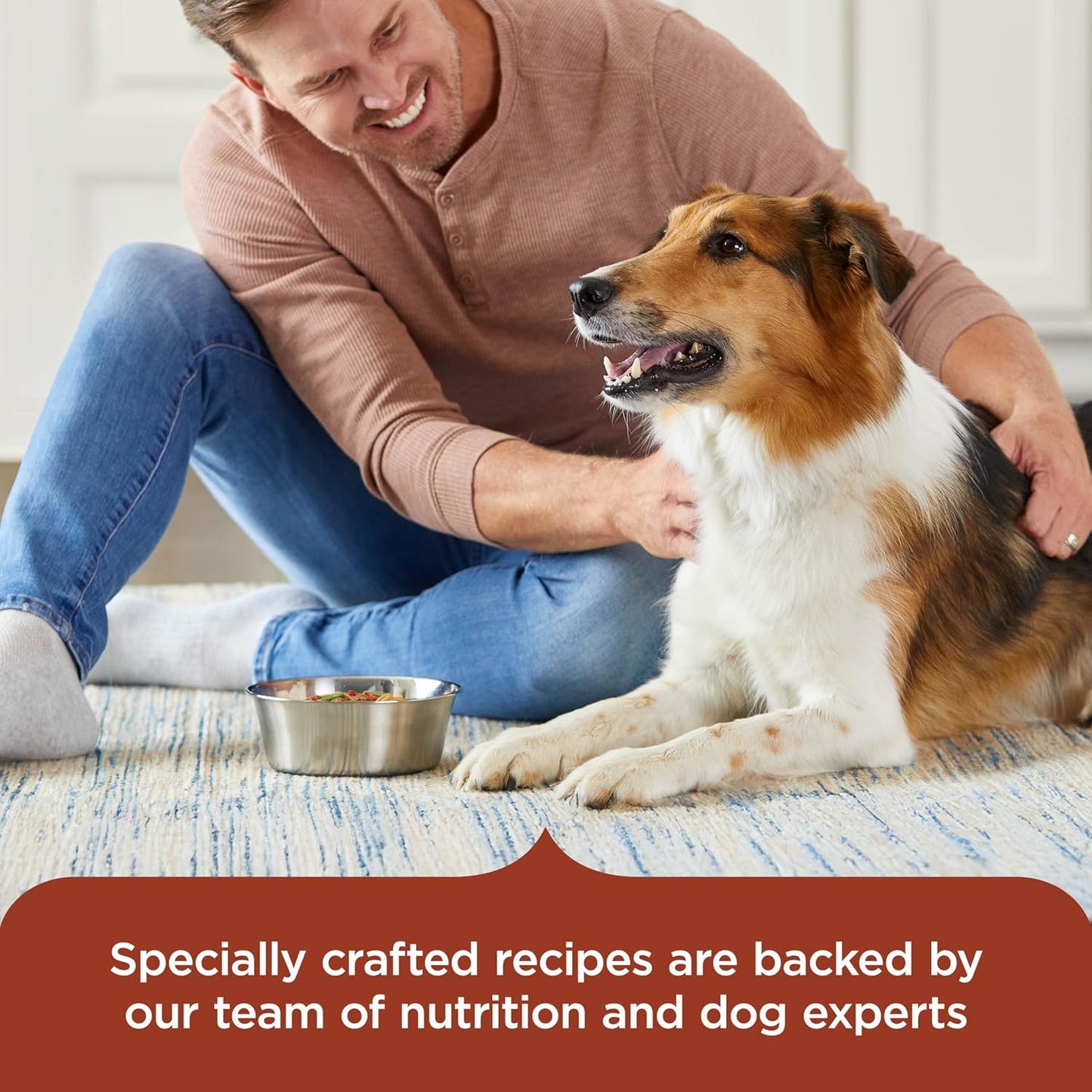 Nutrish_Rachael_Ray_Savory_Favorites_Wet_Dog_Food_Variety_Pack,_8_oz._Tubs_(Pack_of_6)
