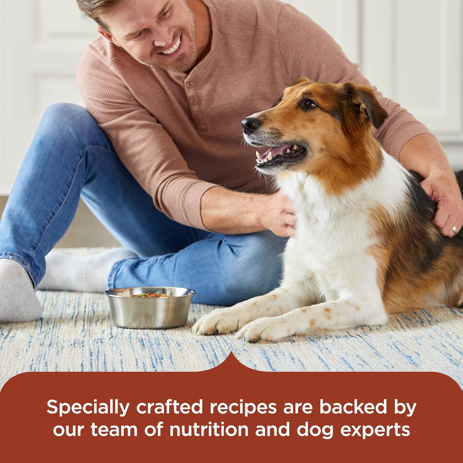 Nutrish_Rachael_Ray_Savory_Favorites_Wet_Dog_Food_Variety_Pack,_8_oz._Tubs_(Pack_of_6)