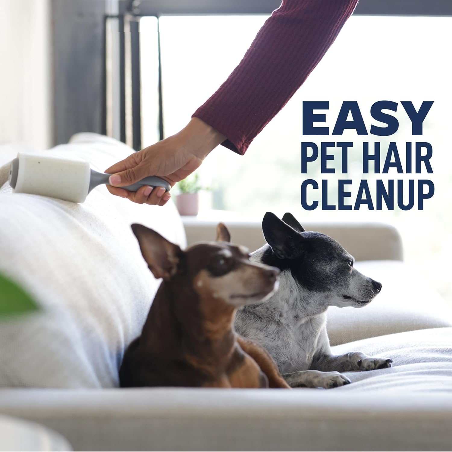 Scotch-Brite_Everyday_Clean_Lint_Roller,_3_Pack,_Lint_Remover_for_Pet_Hair,_Dark_Clothes,_Furniture,_and_Dusty_Surfaces,_Picks_Up_Fur_&_Fluff_in_Your_Home,_Car_&_Office,_300_Adhesive_Sheets_Total