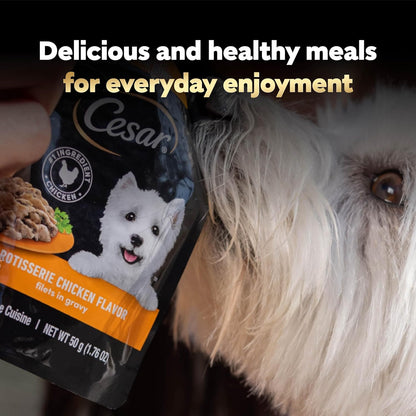 Cesar_Filets_in_Gravy_Wet_Dog_Food_Rotisserie_Chicken_Flavor,_Filet_Mignon_Flavor,_and_Wood-Grilled_Chicken_Variety_Pack,_Wet_Food_for_Dogs,_1.76_oz._Mini-Pouches,_40_Count