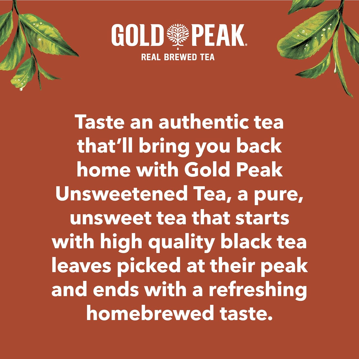 Gold_Peak_Tea,_Unsweet_Tea,_16.9_fl_oz,_6_Pack