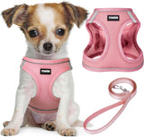 Dog Harness and Leash Set, No Pull Soft Mesh Pet Harness, Reflective Adjustable Puppy Vest for Small Medium Large Dogs, Cats