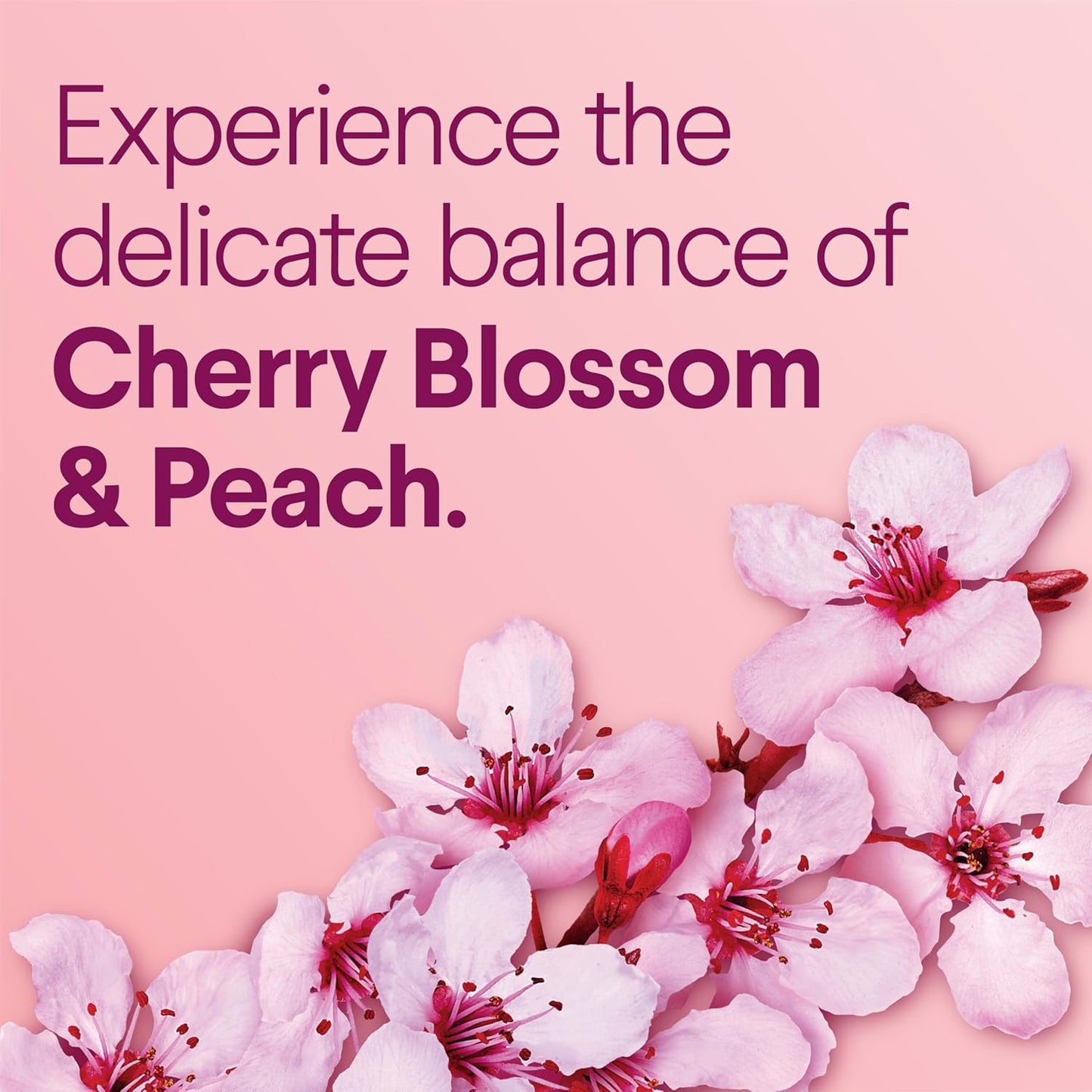 Clorox_Scentiva_ToiletWand_Refills,_Cherry_Blossom_and_Peach,_10_Count