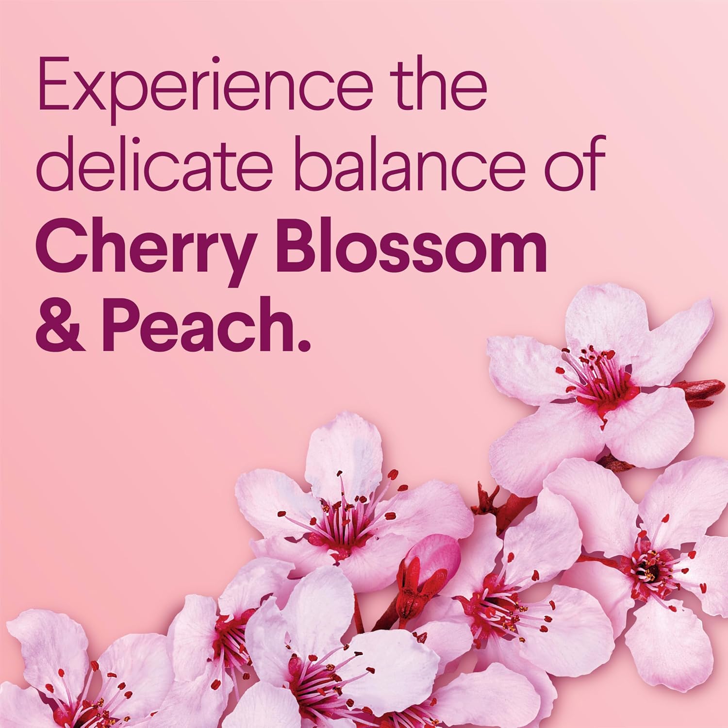 Clorox_Scentiva_ToiletWand_Refills,_Cherry_Blossom_and_Peach,_10_Count