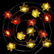 40LED Maple Leaf