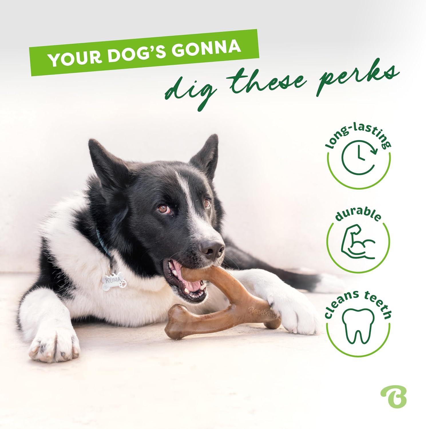 Benebone_Wishbone_Durable_Dog_Chew_Toy_for_Aggressive_Chewers,_Real_Bacon,_Made_in_USA,_Medium