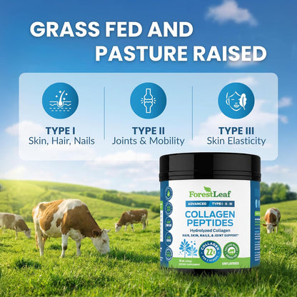 ForestLeaf_Collagen_Peptides_Powder_Unflavored_-_Hydrolyzed_Grass_Fed_Keto_Collagen_Protein_Powder_Type_1,_2_&_3_-_Vital_Hair,_Skin,_Nails,_Joints,_Recovery,_11g_Per_Serving