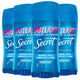 Completely Clean - 2.6 Ounce (Pack of 4)