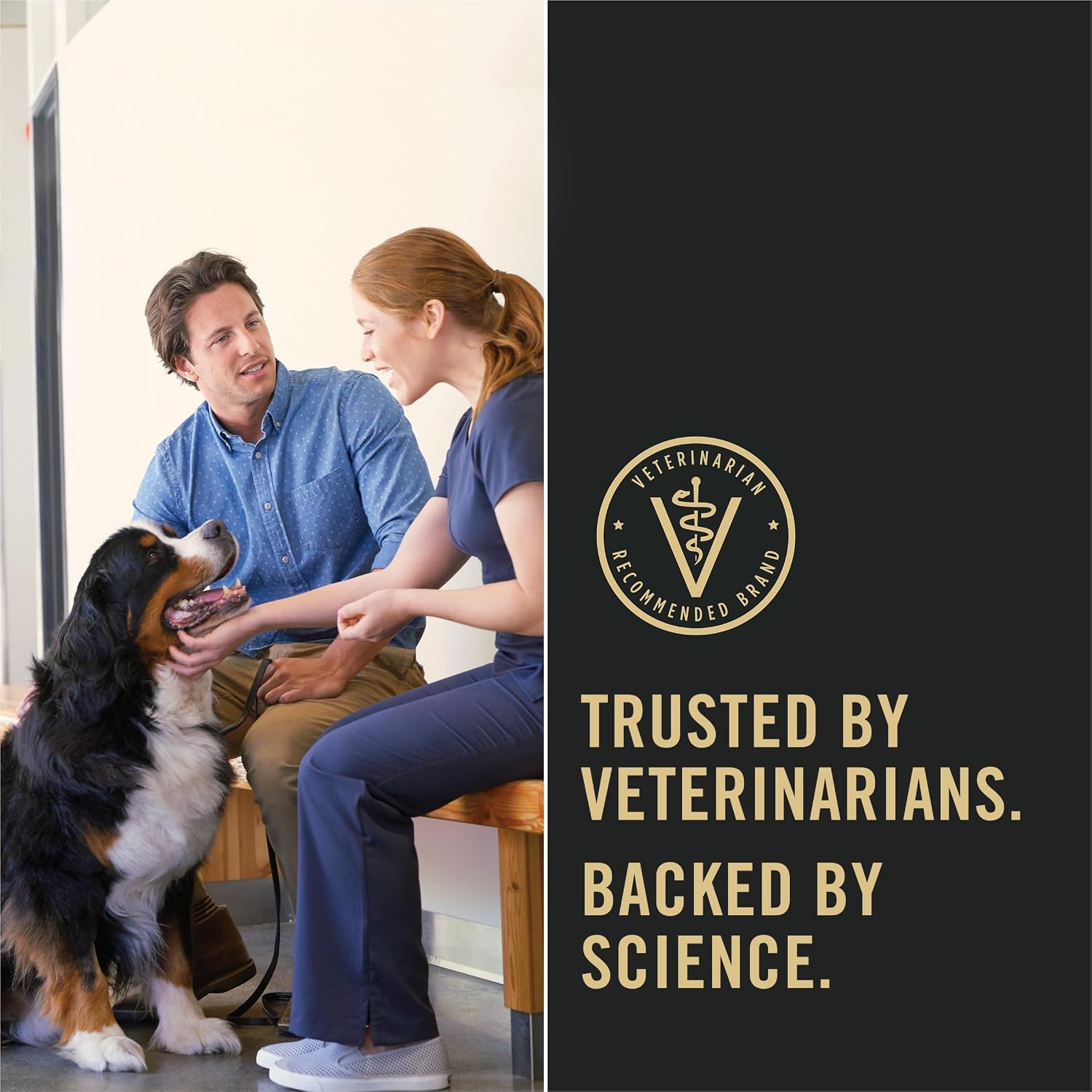 Purina_Pro_Plan_Sensitive_Skin_and_Stomach_Dog_Food_Dry,_Adult_Salmon_&_Rice_Formula,_Digestive_Health_-_16_lb._Bag